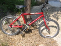 Young boy's bicycle