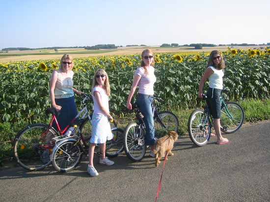 Resting in front of sunflowers