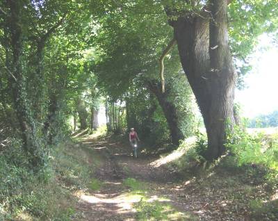 Riding through woods