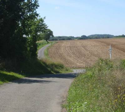 Road winding through fields