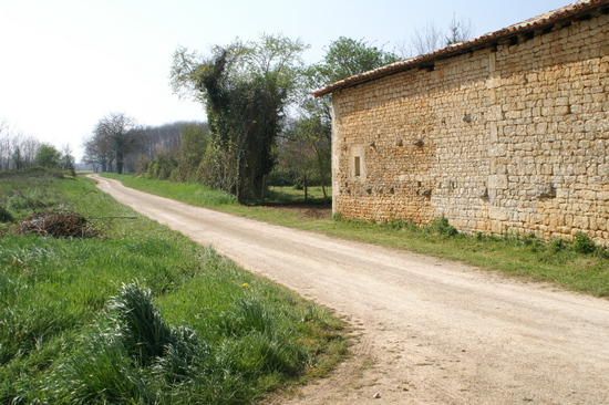 Barn and country lane